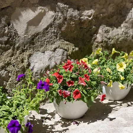 Old Town Patio Apartman *